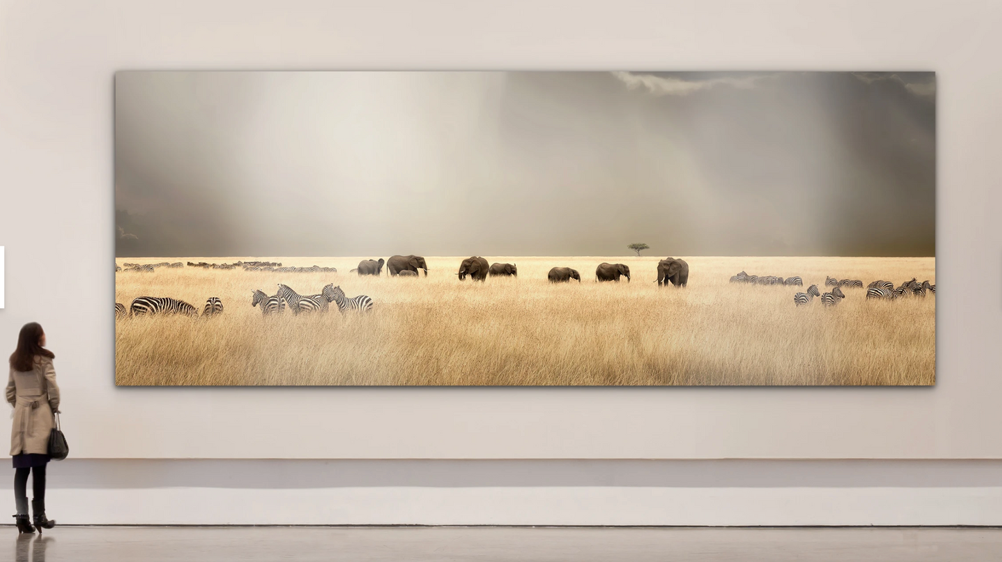 Click Here To View Print Sizes