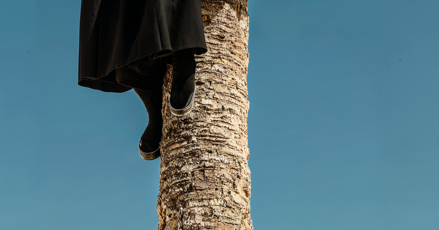 Ladies of the Devine